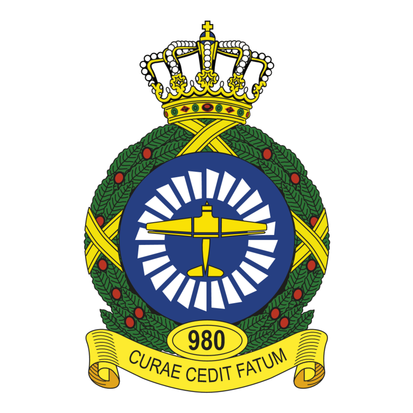 980 Squadron emblem