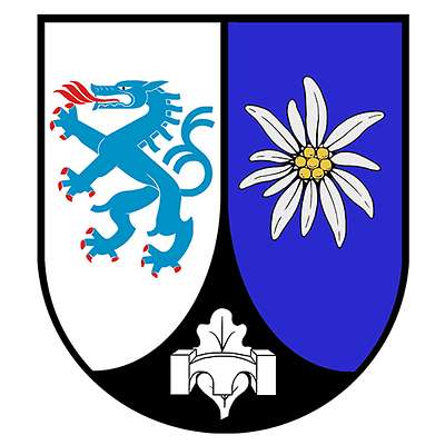 Pionierbataillon 905 emblem