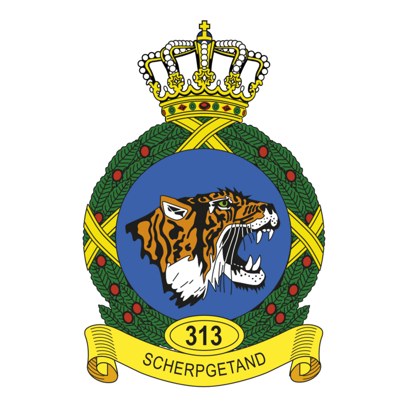 313 Squadron emblem