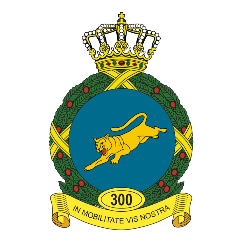 300 Squadron emblem