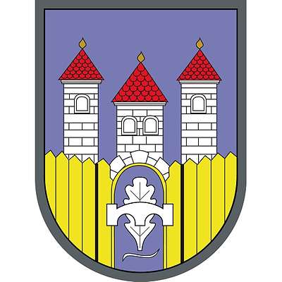 Panzerpionierbataillon 1 emblem