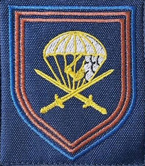299th Air Assault Regiment emblem