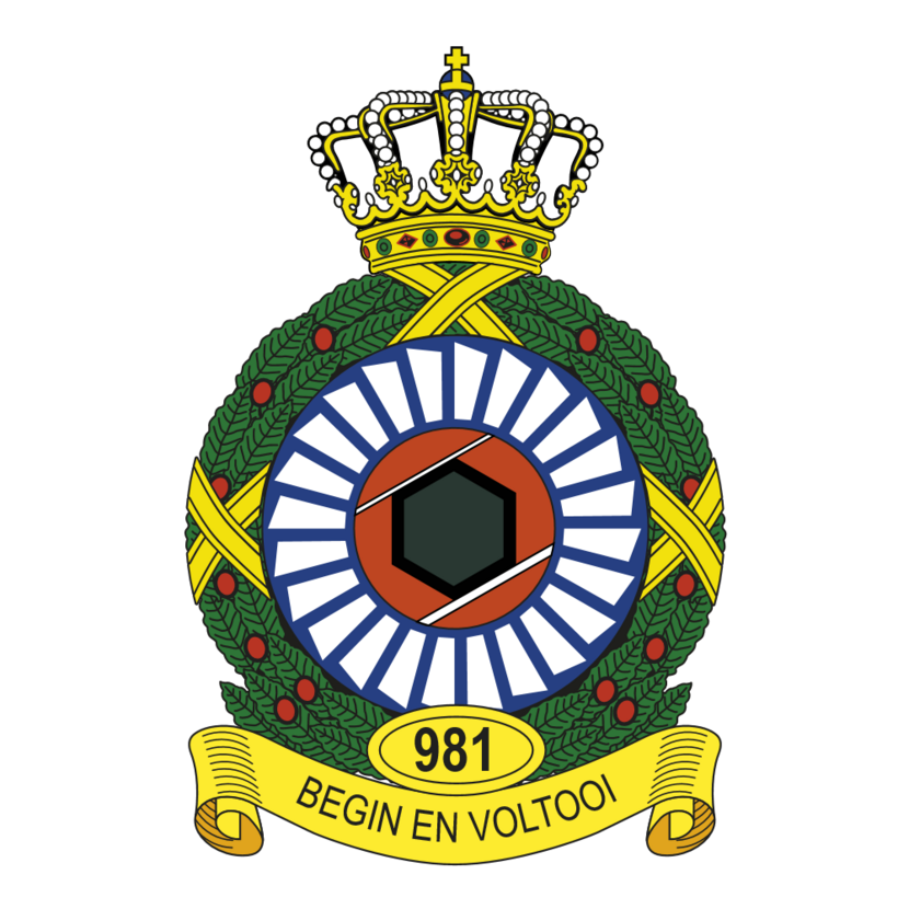 981 Squadron emblem