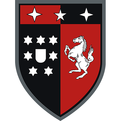 Panzerbataillon 203 emblem